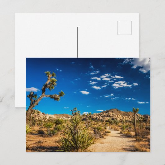 Deserts | Joshua Tree National Park Briefkaart (Voorkant / Achterkant)