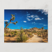 Deserts | Joshua Tree National Park Briefkaart (Voorkant)