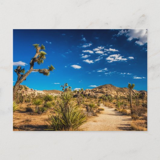 Deserts | Joshua Tree National Park Briefkaart (Voorkant)