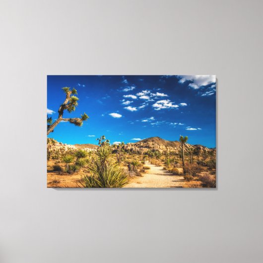 Deserts Joshua Tree National Park Canvas Afdruk (Voorkant)