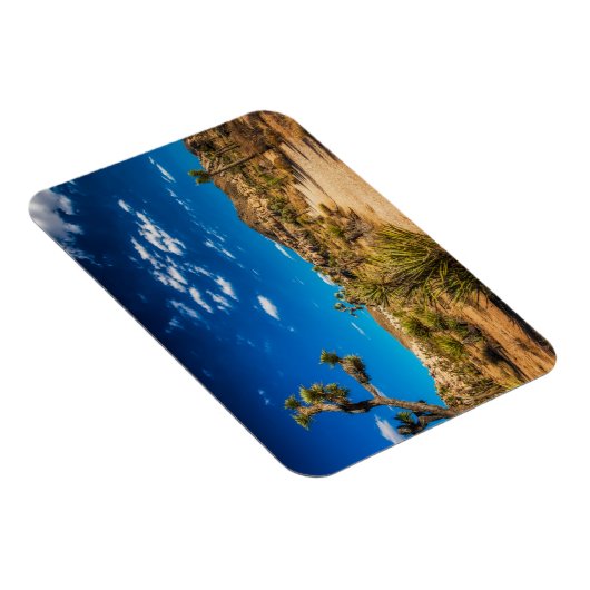 Deserts Joshua Tree National Park Magneet (Rechterzijde)