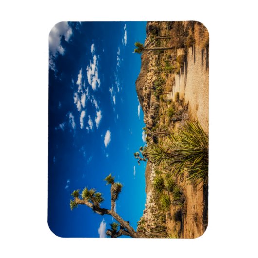 Deserts Joshua Tree National Park Magneet (Verticaal)