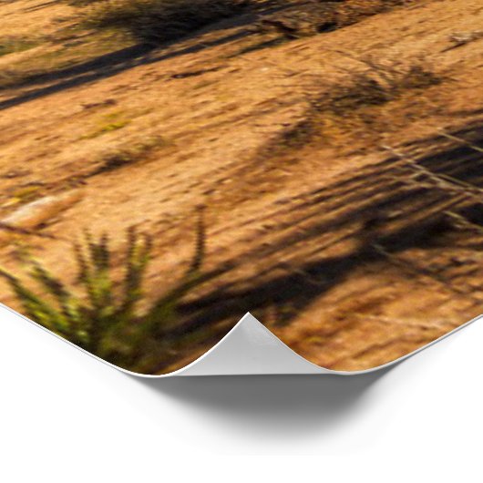 Deserts Joshua Tree National Park Poster (Hoek)