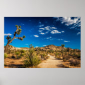 Deserts Joshua Tree National Park Poster (Voorkant)