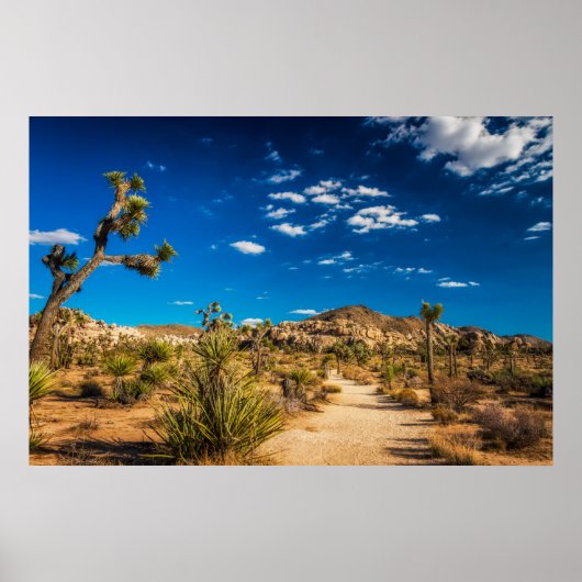 Deserts Joshua Tree National Park Poster (Voorkant)