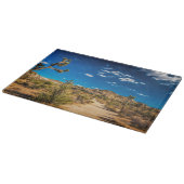 Deserts Joshua Tree National Park Snijplank (Hoek)