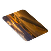 Deserts | Landscape of Sand Dunes Magneet (Rechterzijde)