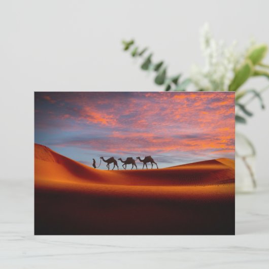 Deserts Man & Camels in the Sand Dunes Bedankkaart (Staand voorkant)
