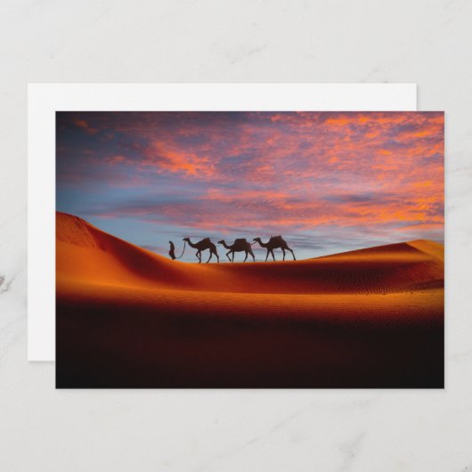 Deserts Man & Camels in the Sand Dunes Bedankkaart (Voorkant / Achterkant)