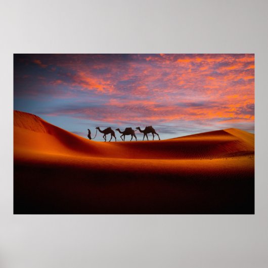 Deserts | Man & Camels in the Sand Dunes Poster (Voorkant)
