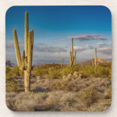 Deserts Muntains Superstition, Arizona Bier Onderzetter (Voorkant)