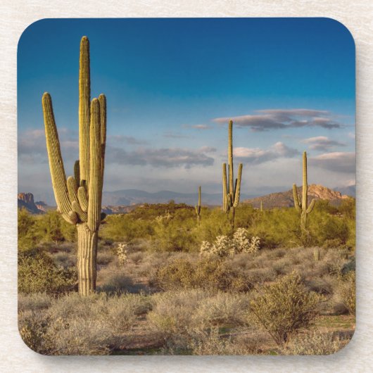 Deserts Muntains Superstition, Arizona Bier Onderzetter (Voorkant)