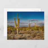 Deserts Muntains Superstition, Arizona Briefkaart (Voorkant / Achterkant)