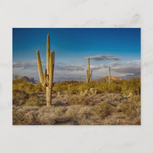 Deserts Muntains Superstition, Arizona Briefkaart
