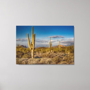 Deserts Muntains Superstition, Arizona Canvas Afdruk