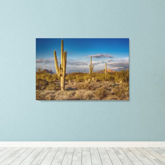 Deserts Muntains Superstition, Arizona Canvas Afdruk (Insitu (Houten vloer))