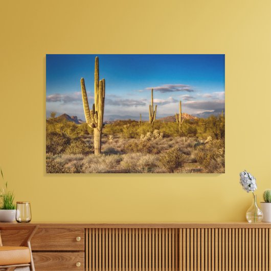 Deserts Muntains Superstition, Arizona Canvas Afdruk (Insitu (Woonkamer))
