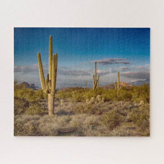 Deserts Muntains Superstition, Arizona Legpuzzel (Horizontaal)
