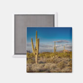 Deserts Muntains Superstition, Arizona Magneet (Voorkant / Achterkant)