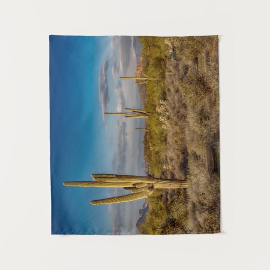 Deserts Muntains Superstition, Arizona Wandkleed (Voorkant)