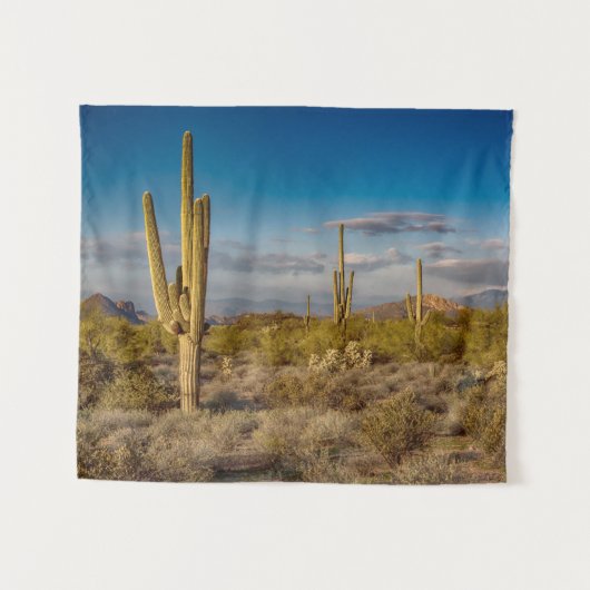 Deserts Muntains Superstition, Arizona Wandkleed (Voorkant (horizontaal))