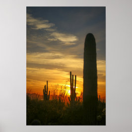 Deserts-nachten Poster