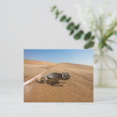 Deserts | Namaqua Chameleon in Desert Briefkaart (Staand voorkant)