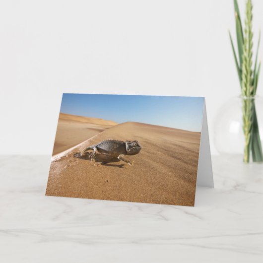Deserts | Namaqua Chameleon in Desert Kaart (Voorkant)