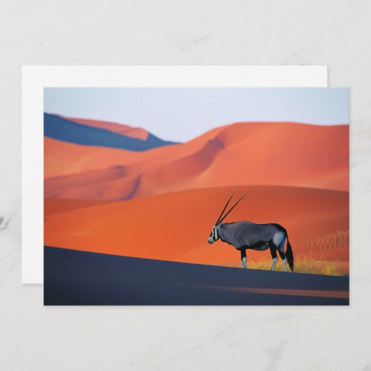 Deserts | Namib Desert Oryx Bedankkaart (Voorkant / Achterkant)