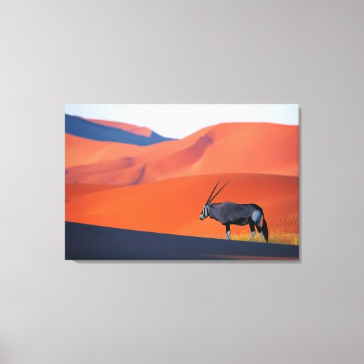 Deserts | Namib Desert Oryx Canvas Afdruk (Voorkant)