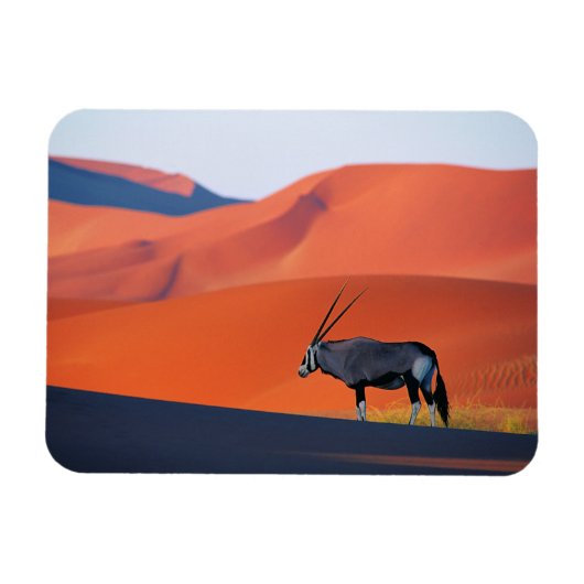 Deserts | Namib Desert Oryx Magneet (Horizontaal)