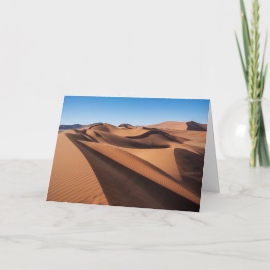 Deserts | Namib Naukluft National Park Kaart (Voorkant)
