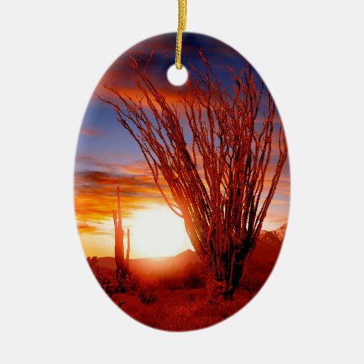 Deserts Ocotillo Sonora Arizona Keramisch Ornament (Voorkant)