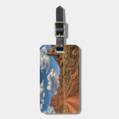 Deserts Professor Valley Near Moab, Utah Bagagelabel (Voorkant verticaal)