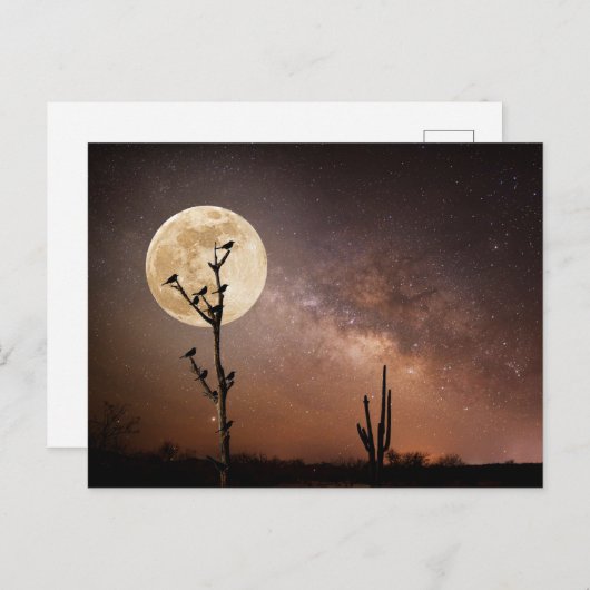 Deserts Saguaro Cactus With Birds in Desert Briefkaart (Voorkant / Achterkant)