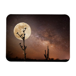Deserts Saguaro Cactus With Birds in Desert Magneet