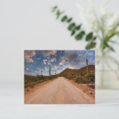 Deserts Saguaro National Park Arizona Briefkaart (Staand voorkant)
