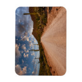 Deserts Saguaro National Park Arizona Magneet (Verticaal)