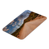 Deserts Saguaro National Park Arizona Magneet (Linkerzijde)