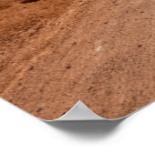 Deserts Saguaro National Park Arizona Poster (Hoek)