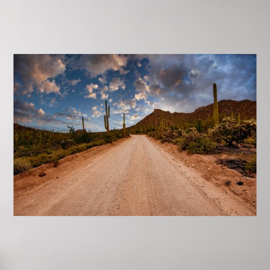 Deserts Saguaro National Park Arizona Poster (Voorkant)