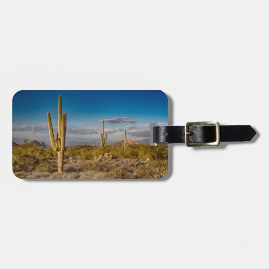 Deserts | Superstition Mountains, Arizona Bagagelabel (Voorkant horizontaal)