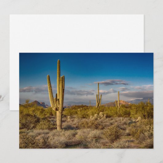 Deserts | Superstition Mountains, Arizona Bedankkaart (Voorkant / Achterkant)