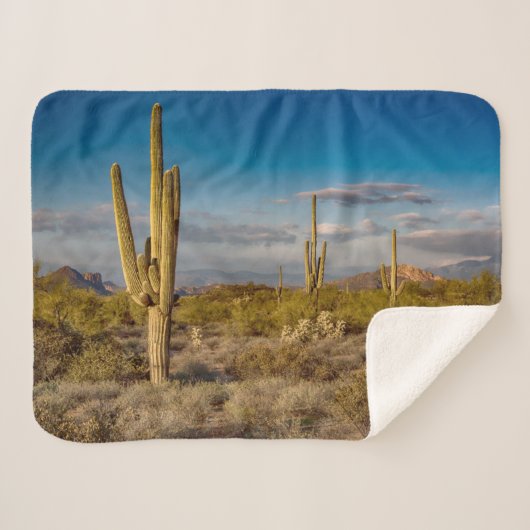 Deserts | Superstition Mountains, Arizona Sherpa Deken (Voorkant (horizontaal))