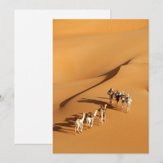 Deserts | Tuareg Walk with Camels Bedankkaart (Voorkant / Achterkant)