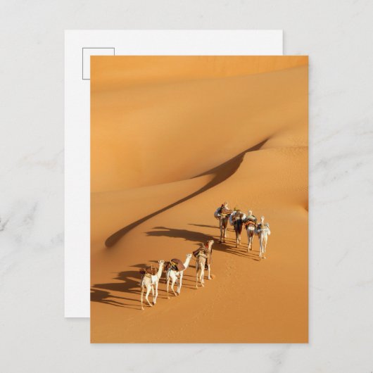Deserts | Tuareg Walk with Camels Briefkaart (Voorkant / Achterkant)