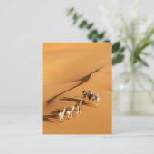 Deserts | Tuareg Walk with Camels Briefkaart (Staand voorkant)