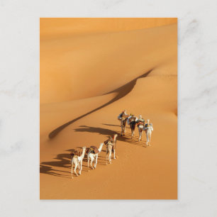 Deserts   Tuareg Walk with Camels Briefkaart