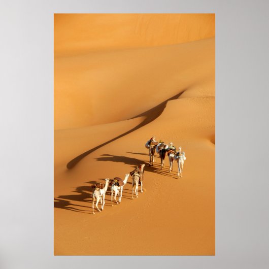Deserts | Tuareg Walk with Camels Poster (Voorkant)