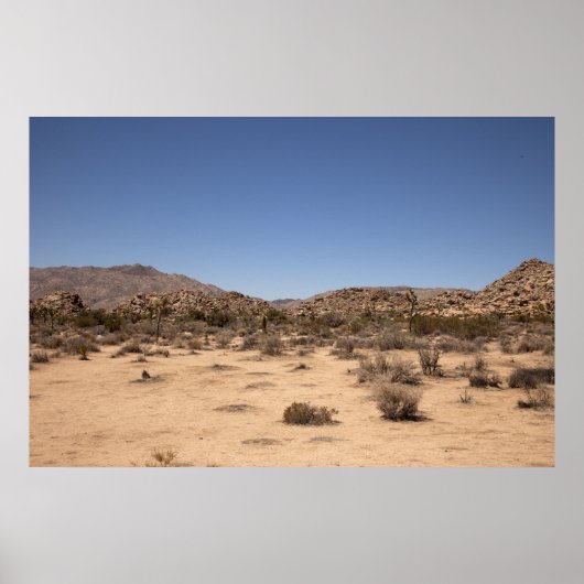 Desertscape Poster (Voorkant)
